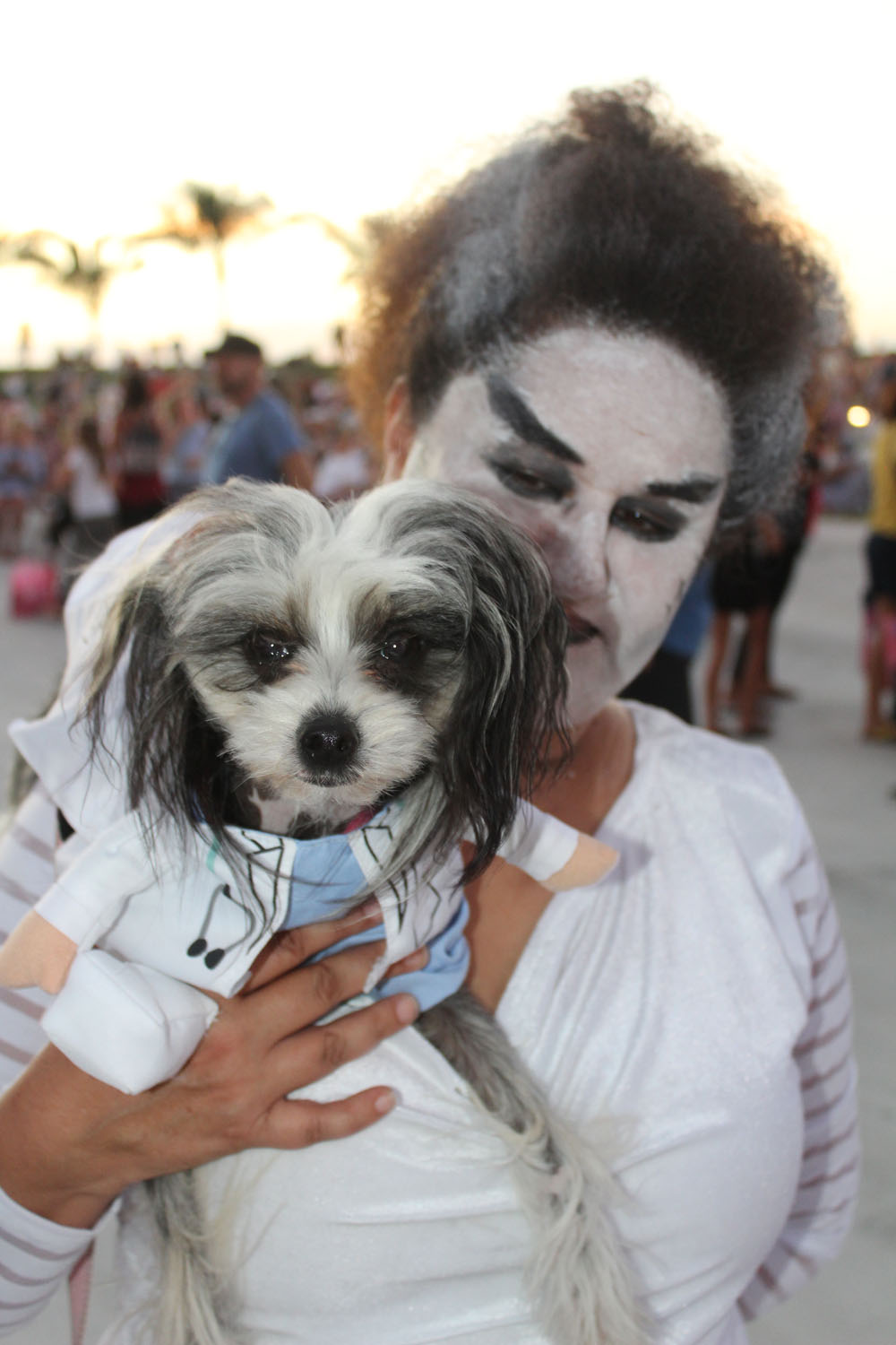 Pet Masquerade 2018 photo - Duval Street, Key West